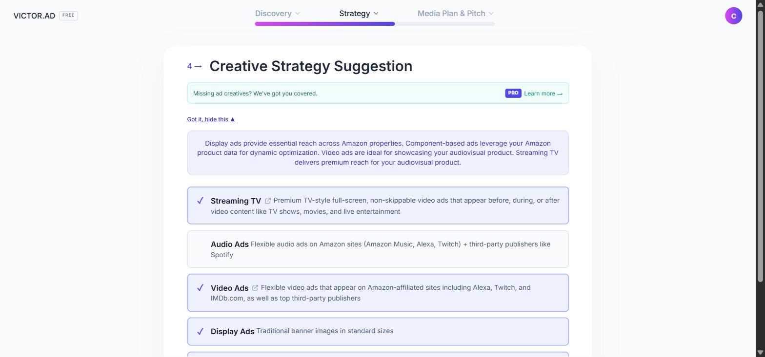 The preselection reasoning for the ad formats